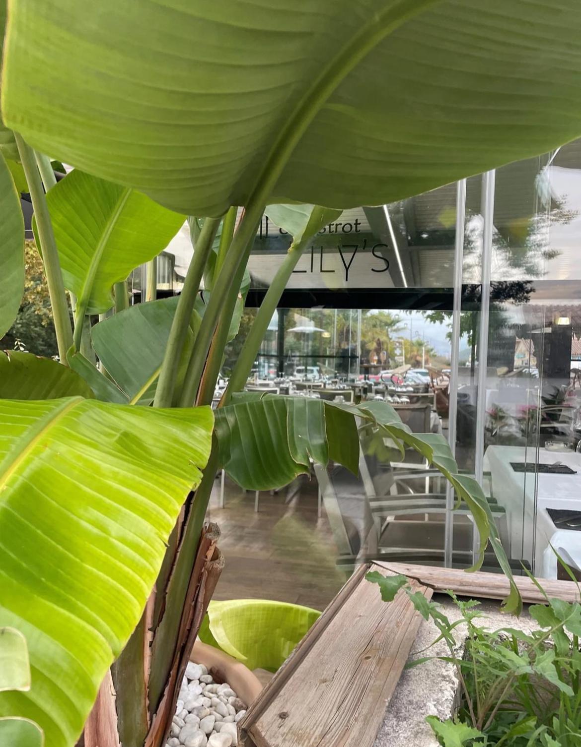 Studio 28 M2 Porticcio Centre Zewnętrze zdjęcie